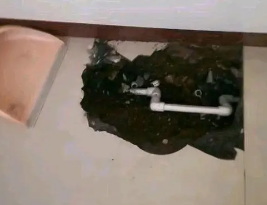 鹤峰卫生间测漏水多少钱
